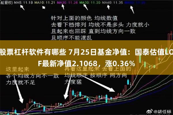 股票杠杆软件有哪些 7月25日基金净值：国泰估值LOF最新净值2.1068，涨0.36%