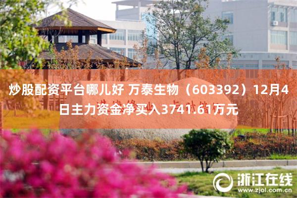 炒股配资平台哪儿好 万泰生物（603392）12月4日主力资金净买入3741.61万元