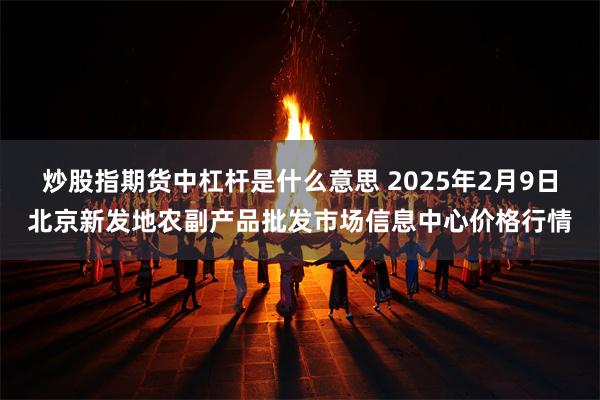 炒股指期货中杠杆是什么意思 2025年2月9日北京新发地农副产品批发市场信息中心价格行情