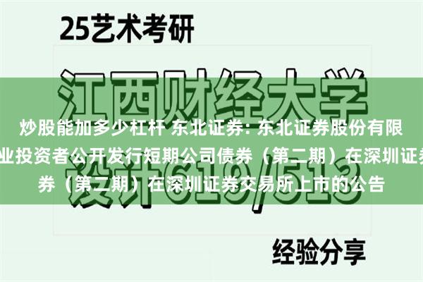 炒股能加多少杠杆 东北证券: 东北证券股份有限公司2025年面向专业投资者公开发行短期公司债券(第二期)在深圳证券交易所上市的公告