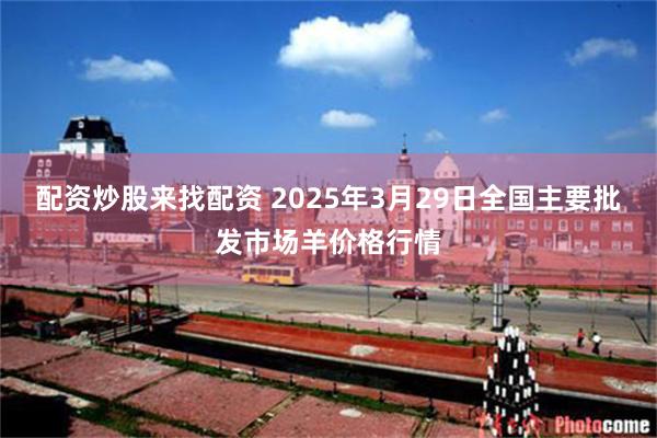 配资炒股来找配资 2025年3月29日全国主要批发市场羊价格行情