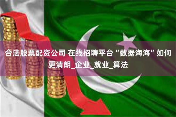 合法股票配资公司 在线招聘平台“数据海海”如何更清朗_企业_就业_算法