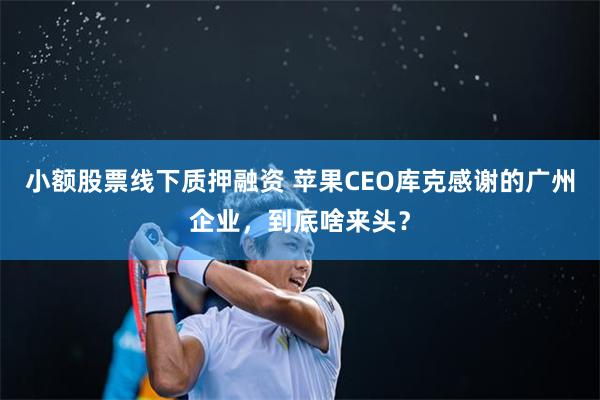 小额股票线下质押融资 苹果CEO库克感谢的广州企业，到底啥来头？