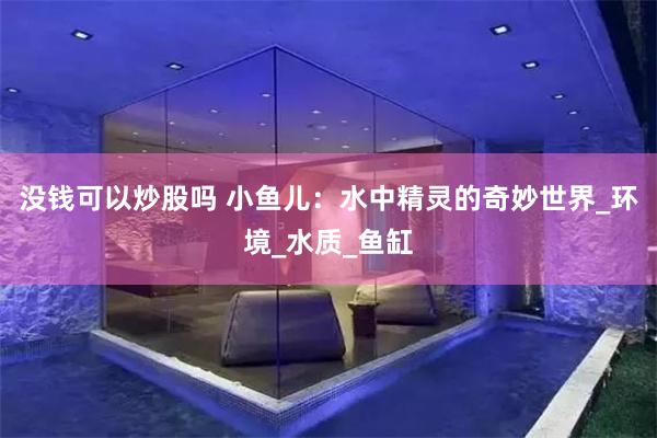 没钱可以炒股吗 小鱼儿：水中精灵的奇妙世界_环境_水质_鱼缸