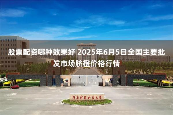 股票配资哪种效果好 2025年6月5日全国主要批发市场脐橙价格行情