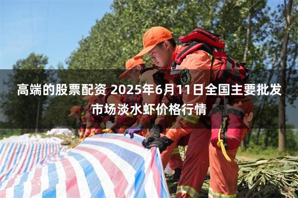 高端的股票配资 2025年6月11日全国主要批发市场淡水虾价格行情