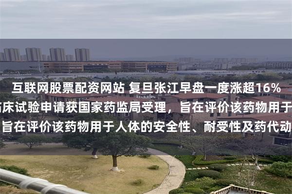 互联网股票配资网站 复旦张江早盘一度涨超16%，注射用FZ-P001钠临床试验申请获国家药监局受理，旨在评价该药物用于人体的安全性、耐受性及药代动力学特征
