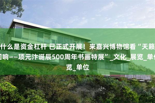 什么是资金杠杆 已正式开展！来嘉兴博物馆看“天籁回响——项元汴诞辰500周年书画特展”_文化_展览_单位