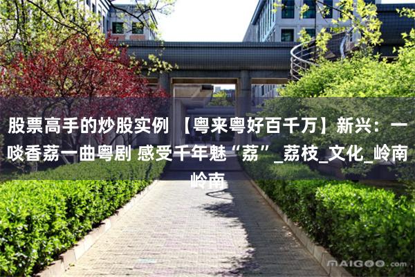股票高手的炒股实例 【粤来粤好百千万】新兴：一啖香荔一曲粤剧 感受千年魅“荔”_荔枝_文化_岭南