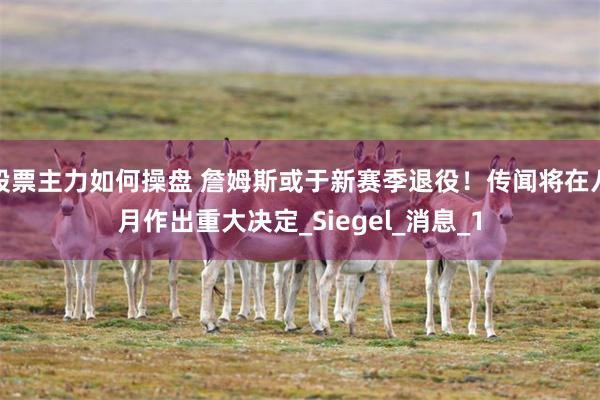 股票主力如何操盘 詹姆斯或于新赛季退役！传闻将在八月作出重大决定_Siegel_消息_1